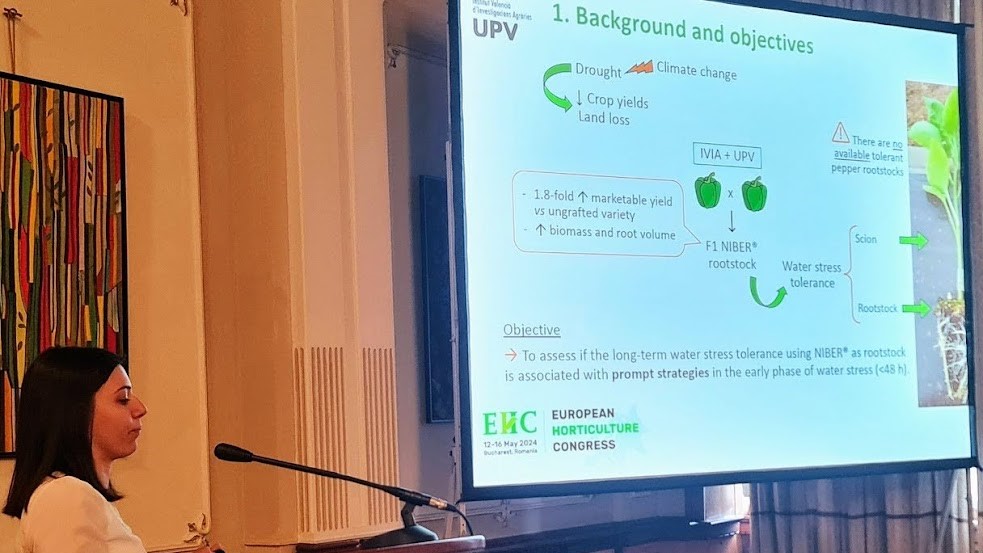 EHC-Padilla-Presentacion-OK b|EHC-Padilla-UPV 2 (1)